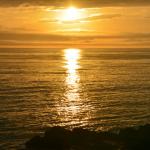 Cambria_0177 (November 04, 2017)